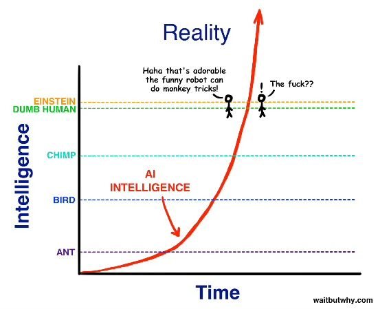 Wait But Why chart: AI intelligence rising steeply past human level over time